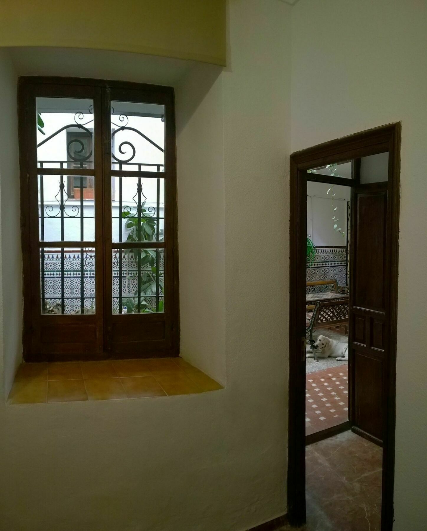 Casa Patio De La Vega 호텔 코르도바 외부 사진